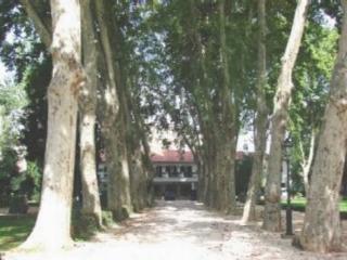 Estalagem Santa Iria Hotel โตมาร์ ภายนอก รูปภาพ